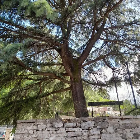 Ani-rooms&food In Old Bazaar,gjirokaster Guest house 3*
