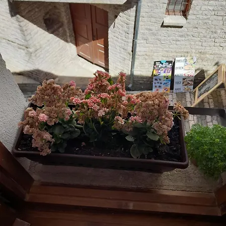Guest house Ani-rooms&food In Old Bazaar,gjirokaster Gjirokaster