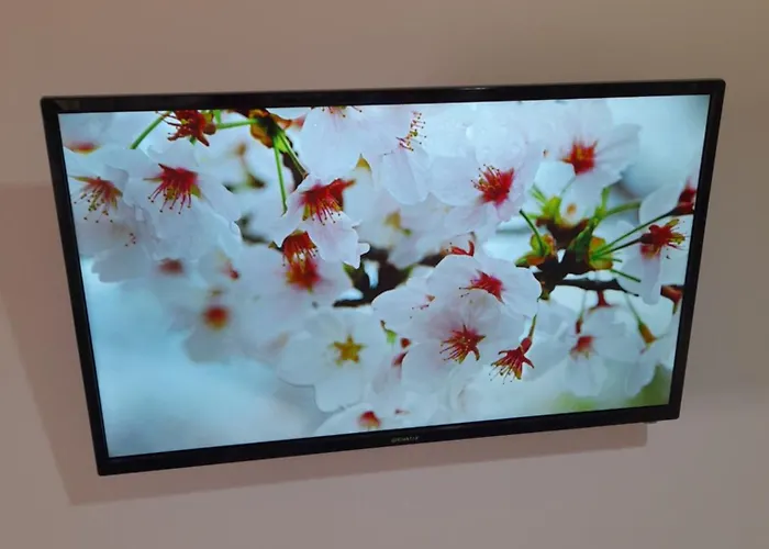 Ani-rooms&food In Old Bazaar,gjirokaster