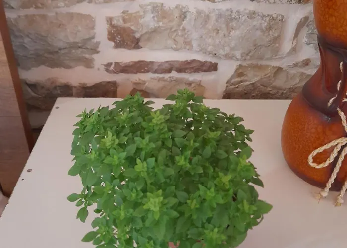 Gasthuis Ani Gjirokastër