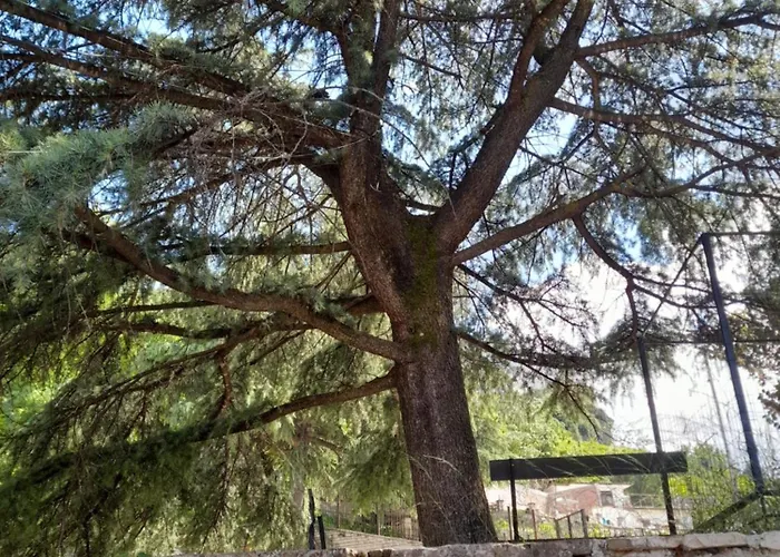 Ani-rooms&food In Old Bazaar,gjirokaster 게스트하우스 3*