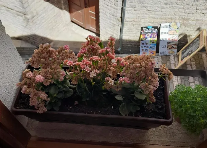 게스트하우스 Ani-rooms&food In Old Bazaar,gjirokaster Gjirokastër